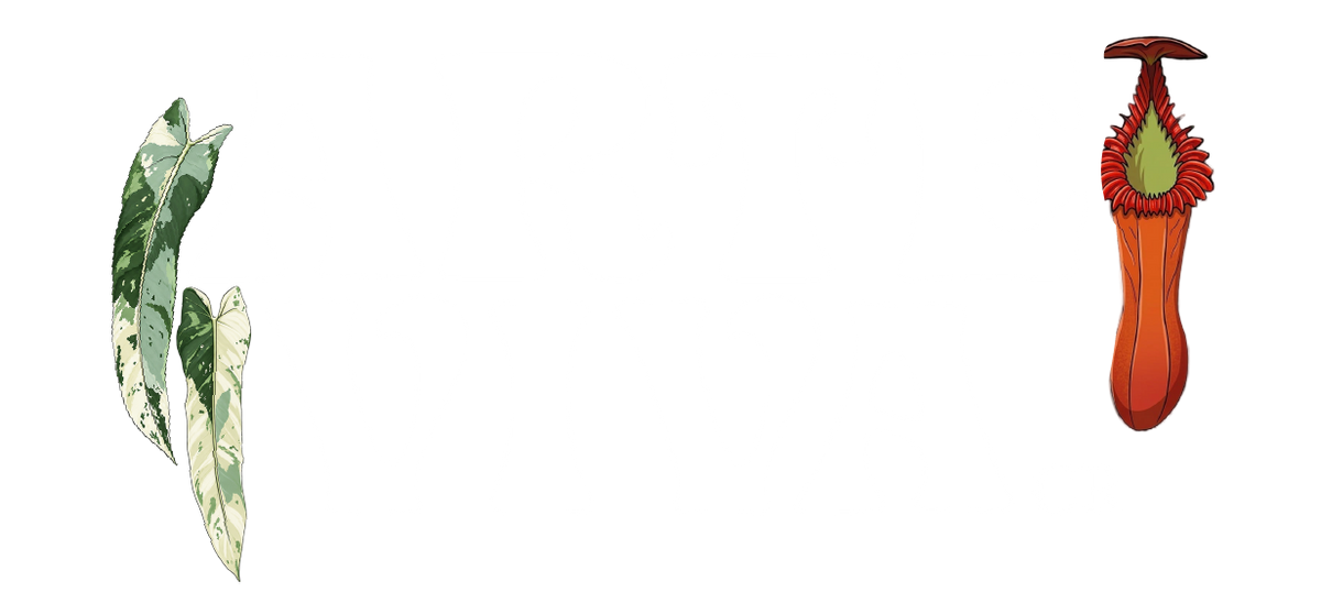 ArteVivaCR